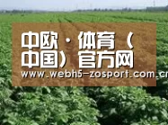 种植基地五