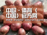 产品展示标题5(图1)