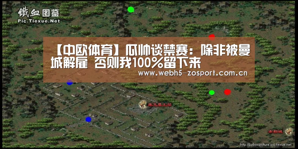 中欧体育平台