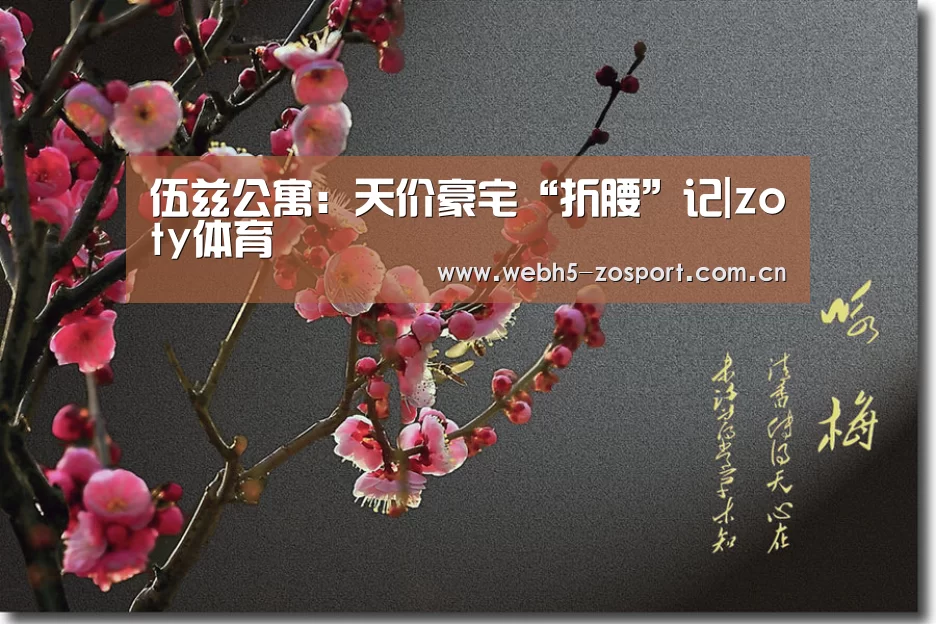 伍兹公寓:天价豪宅“折腰”记|zoty体育(图3) 中欧体育
