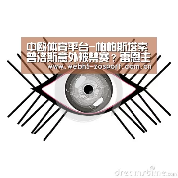中欧体育官网