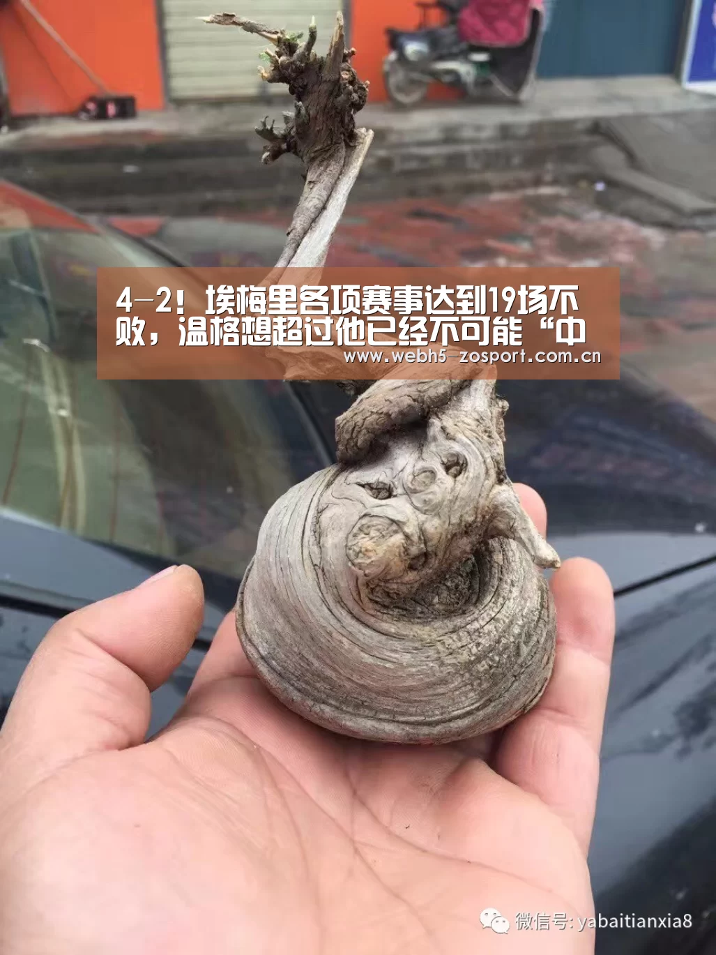 zoty体育